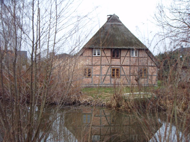 Waldtour 049